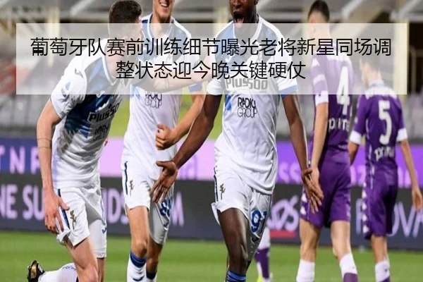 葡萄牙队赛前训练细节曝光老将新星同场调整状态迎今晚关键硬仗